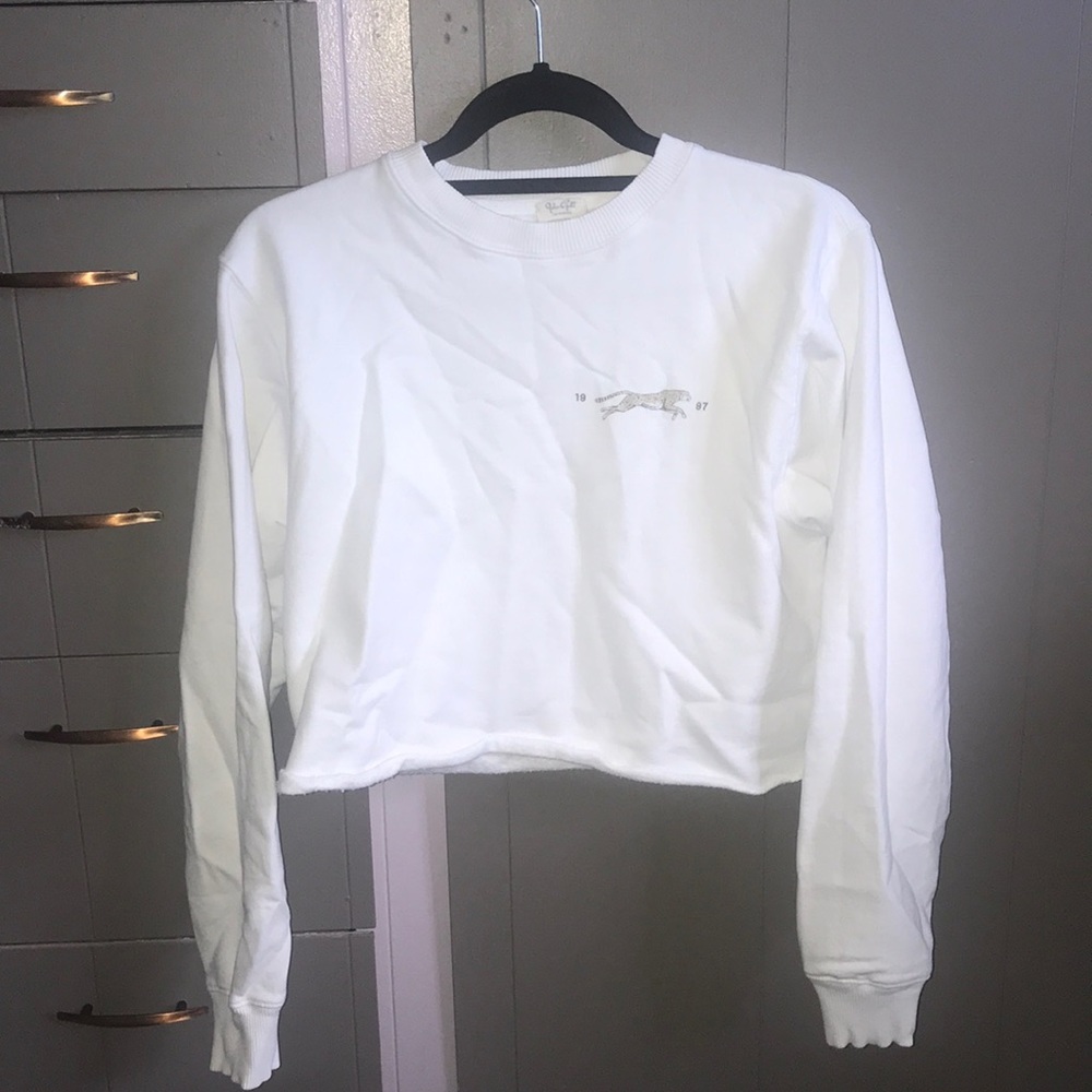 Brandy Melville cheetah sweater